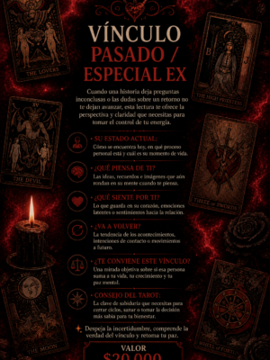 vinculo pasado/ versión ex
